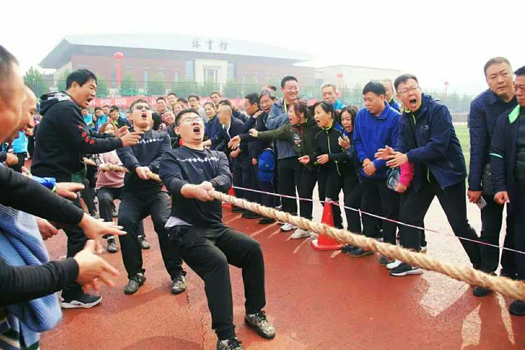 室内无绳健身器材推荐